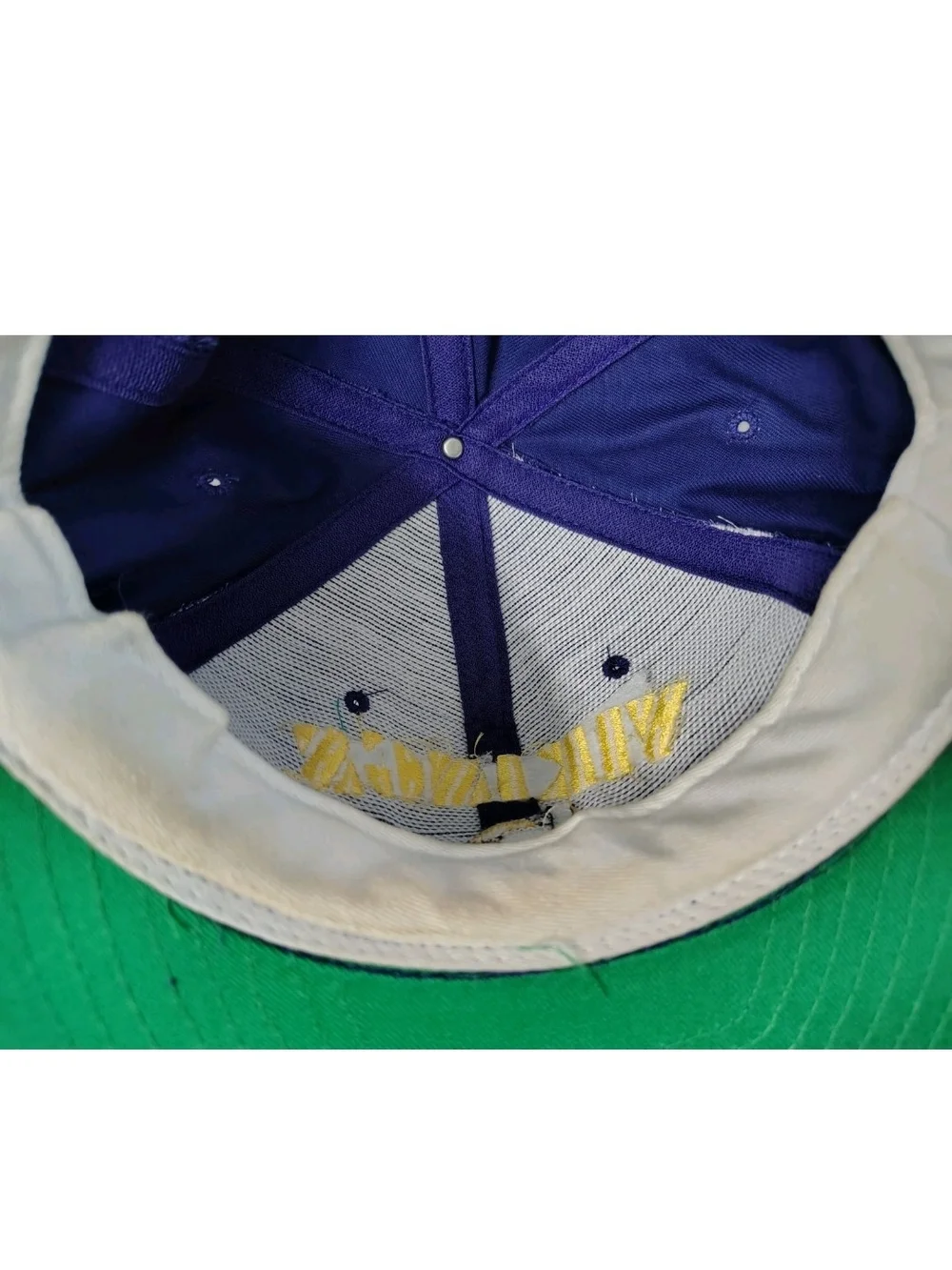Vintage Minnesota Vikings Hat snapback purple yellow NFL Cap AJD 90s Cap